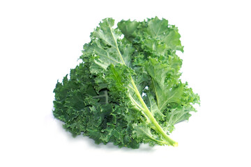 Obraz premium Organic fresh Kale Green cabbage (Brassica oleracea var. sabellica) - Kale green leaf isolated before white background. Kale has the highest vitamin K content of any vegetable.