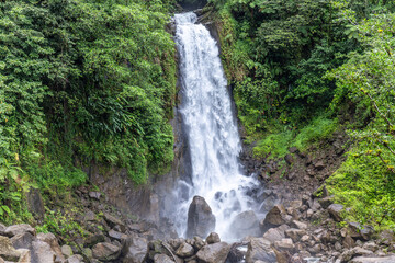 waterfall in Dominica, Trafalgar Falls, Caribbean Island. Bright and colorful image with stunning...