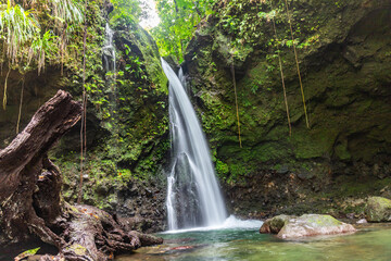 Obraz premium The emerald Jacko waterFall on the island of Dominica