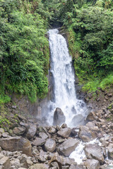 waterfall in Dominica, Trafalgar Falls, Caribbean Island. Bright and colorful image with stunning...