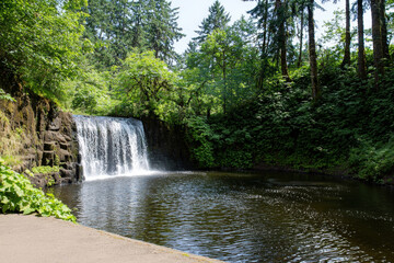 wooden shelf mounted on brick wall, showcasing minimalist design with industrial style brackets, perfect for modern decor