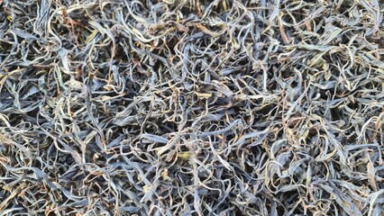 Black Tea. Dried tea leaves, a healthy drink