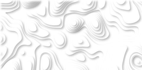 paper cut 3d render topography abstract, beautiful white Background. geometric map relief texture with curved layers and shadow. Realistic papercut decoration textured with wavy vector design.