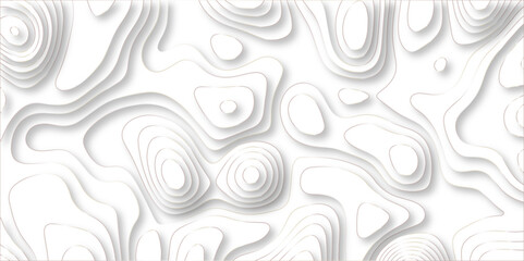 paper cut 3d render topography abstract, beautiful white Background. geometric map relief texture with curved layers and shadow. Realistic papercut decoration textured with wavy vector design.