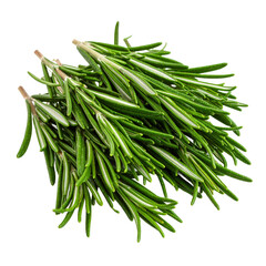 Fototapeta premium Aromatic sprigs of vibrant rosemary, culinary herb freshness on transparent background