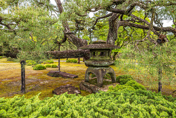 View at the Ninomaru garden in the streets of Kyoto - Japan