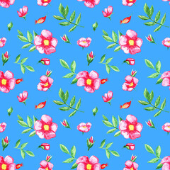 Fototapeta premium Watercolor pattern with rose hip flowers. Cute floral seamless texture with rose hips on a blue background. Meadow plants. Pattern for textiles or wallpapers 