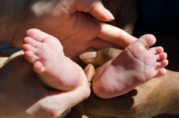 Tiny baby feet and caring parents' hands.