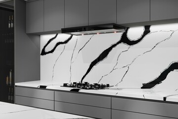 The interior design of the kitchen features a calacatta panda quartz countertop, necessary equipment. 3D Rendering