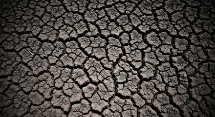 Close-up of parched and cracked earth texture, symbolizing severe drought conditions and the urgent need for water conservation in arid environments.