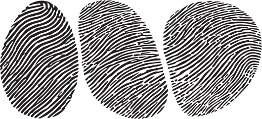 set of Fingerprint Icon in Black on White Background – Grunge Thumbprint Silhouette as ID Symbol for Digital Illustrations and Graphic Design Elements
