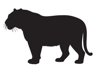 Bengal Tiger Silhouette