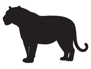 Bengal Tiger Silhouette