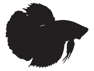  Betta Fish Silhouette