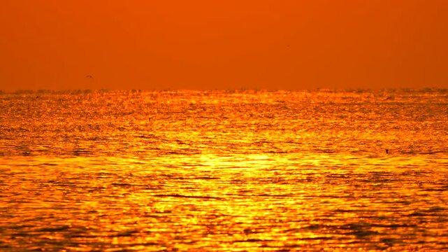 Sunset Sea Ocean - A view of the sun setting over the ocean, casting a golden glow on the water.