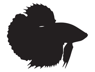  Betta Fish Silhouette