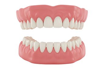 Obraz premium Isolated Set of False Teeth Prosthetic Dentures