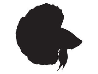  Betta Fish Silhouette