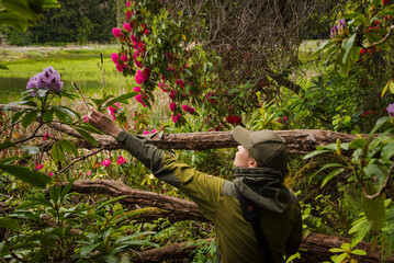 Fototapete bei efototapeten.de bestellen   