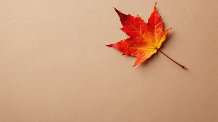 A single red and orange maple leaf rests on a beige background. The leaf displays vibrant autumn colors, symbolizing the fall season.