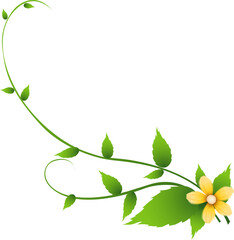 Green Vine with Leaves and Yellow Flower