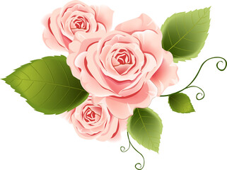 Bouquet of Pink Roses with Leaves