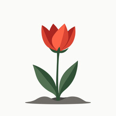Stylized Red Tulip Flower with Green Leaves Growing from Soil Flat Vector Illustration