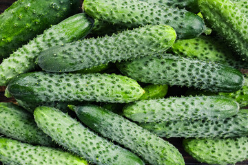 Fresh green organic cucumbers background, top view with copy space