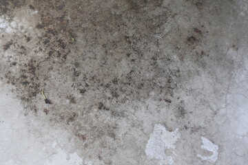 stone wall texture