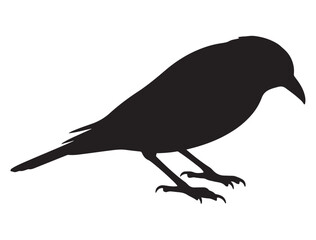 Bird Silhouette