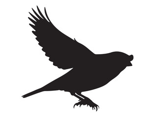 Bird Silhouette