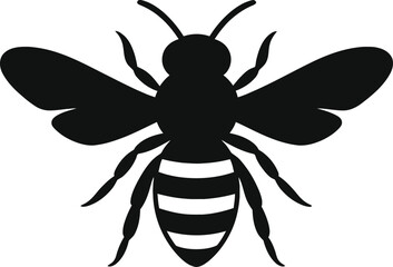 Black and white insect illustration set with butterfly spider and wasp designs