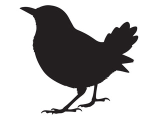 Bird Silhouette