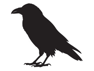 Bird Silhouette