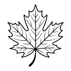Sugar Maple Leaf Icon, Vector, Illustration, Outline, Line Art, Silhouette, Logo, White Background.