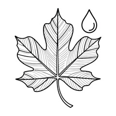 Fototapeta premium Sycamore Leaf Icon, Vector, Illustration, Outline, Line Art, Silhouette, Logo, White Background.