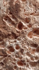 Obraz premium Detailed Close up of Porous Textured Stone Surface with Irregular Holes and Brown Hues Natural Rock Background Image
