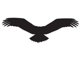 Bird Silhouette