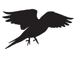 Bird Silhouette