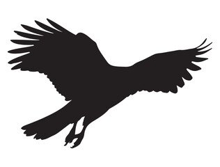 Bird Silhouette