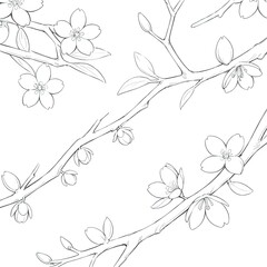 seamless floral background