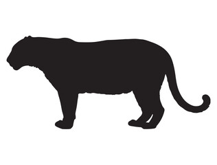 Black Panther Silhouette