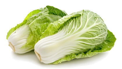 One fresh Chinese cabbage isolated on white