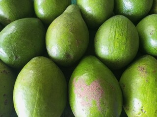 Abundant Green Avocados Displayed for Sale