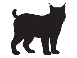 Bobcat Silhouette
