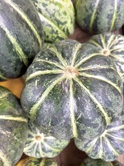 Close Up of Freshly Harvested Striped Melons or Gourds