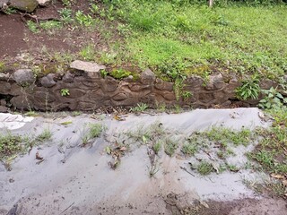 Eroded Earth and Greenery Near Stone Wall