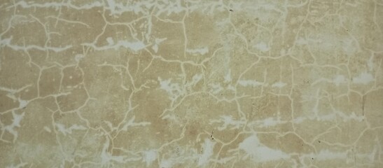 Intricate Beige and White Cracked Abstract Surface Texture