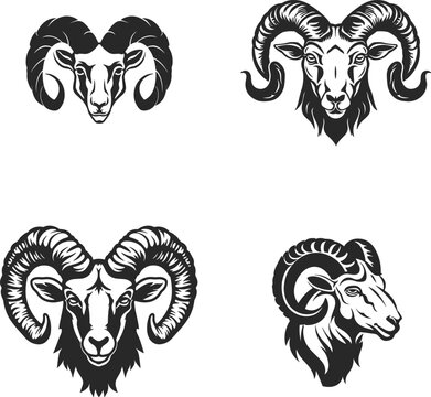 Vector illustration of Rams head, silhouette animal design