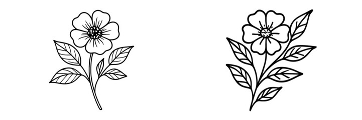 Hand-drawn floral illustrations showcasing simple beauty and elegance in nature-inspired art